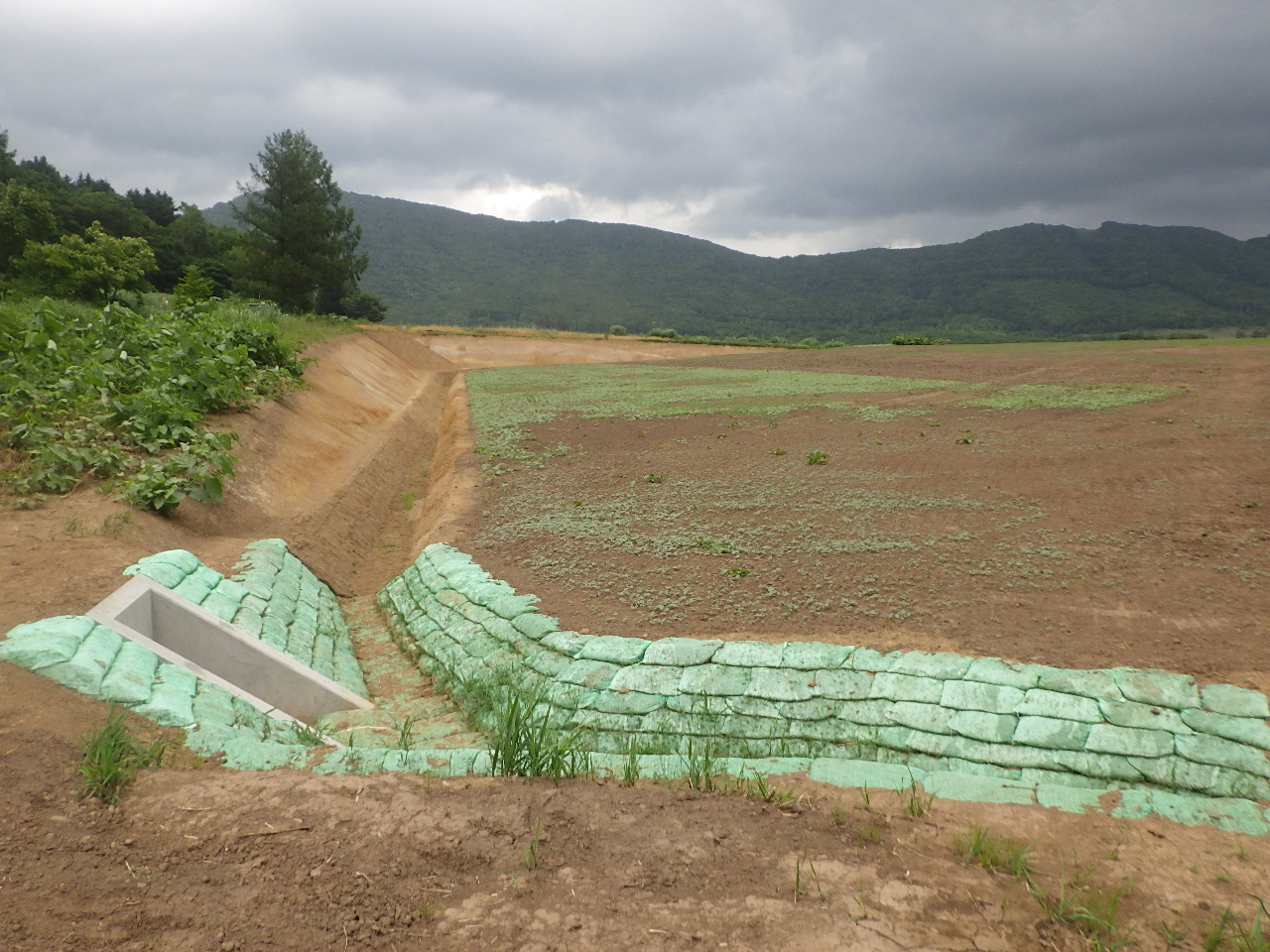 畑地帯赤井川地区61工区